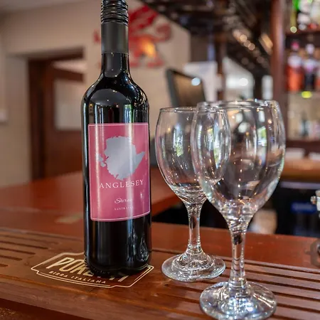 Nant Yr Odyn Country Hotel & Restaurant Ltd-2