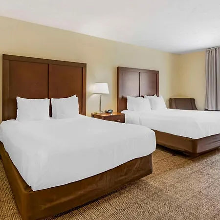 Comfort Suites East Lincoln - Mall Area-3