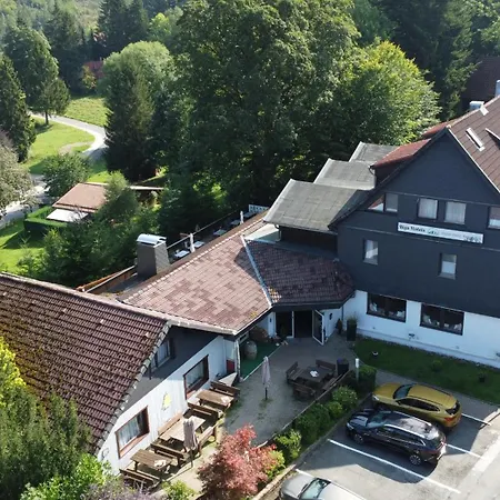 Hotel Mein Bergblick-3