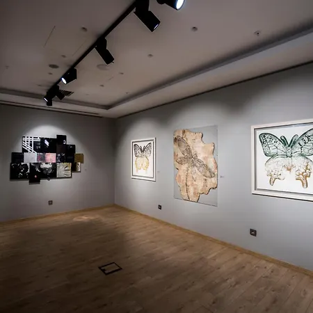 Endless Art Hotel-Special Category-2