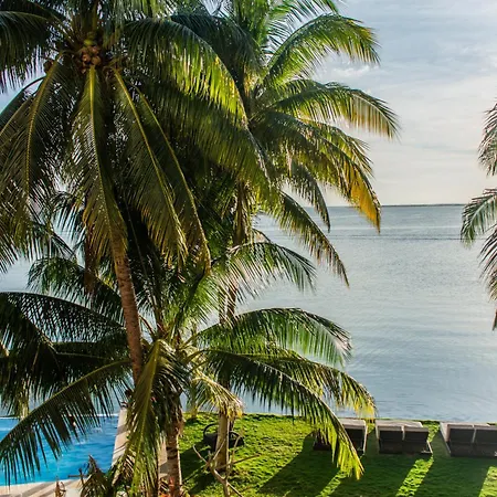 Casa Tortugas Boutique Hotel - CANCUN Luxury Hidden Gem-3