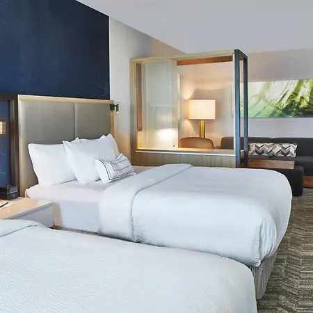 Springhill Suites By Marriott Charlotte At Carowinds-3