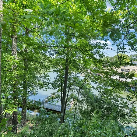 Halesford Harbour Resort - Smith Mountain Lake-3