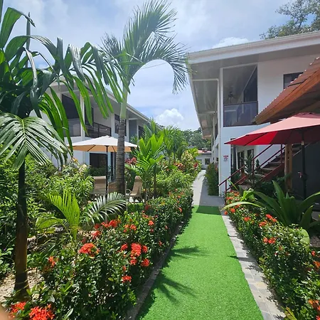 Ballena Rey Hotel-2