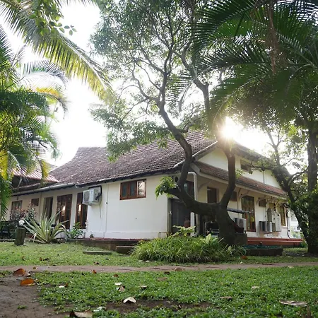Alfred Place-2