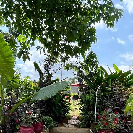 Bruks Guest House-2