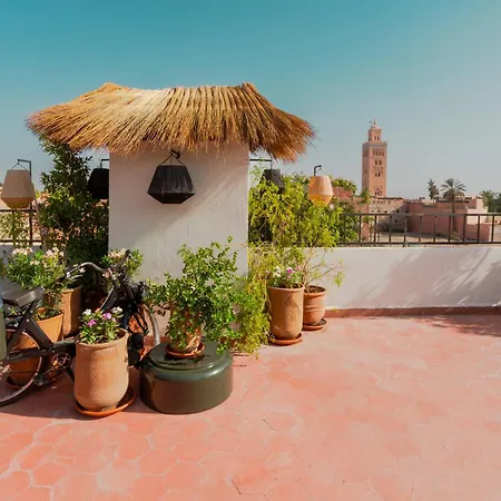 Riad Tawja-3