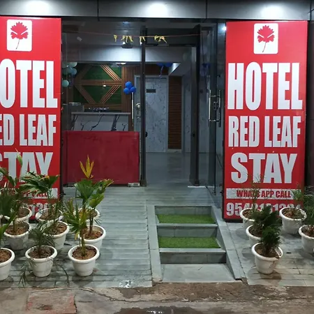 Red Leaf Stay-3
