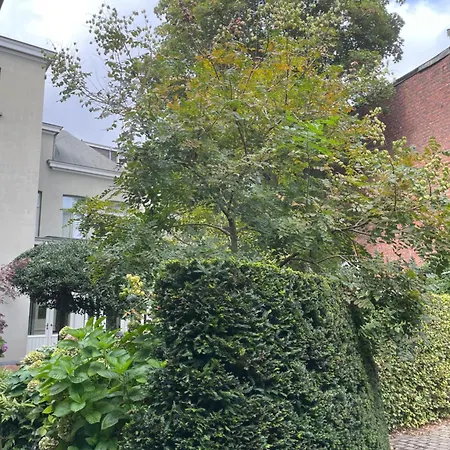 Huis Dujardin Bed&Breakfast-3