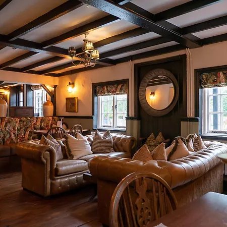 The Chestnut Horse-2