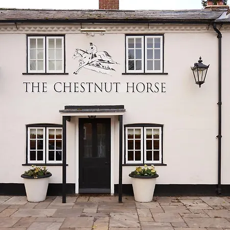 The Chestnut Horse-2
