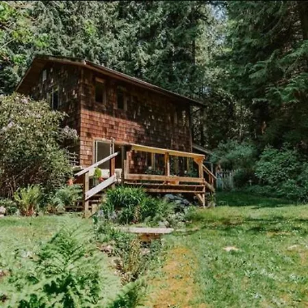 Forest Haven Hideaway-3