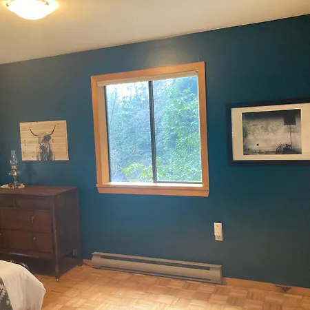 Forest Haven Hideaway-2
