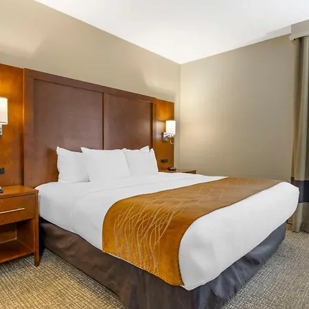 Comfort Inn South - Springfield-3