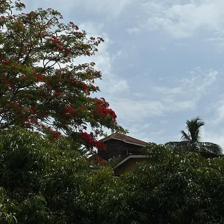 Nisarg Resort-3