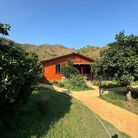 Anka Bungalov Hotel-2