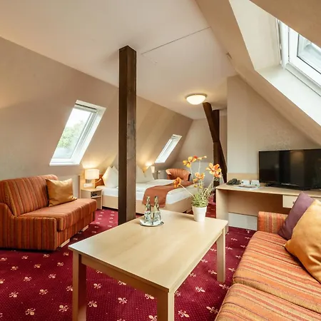 Flair Hotel Villa Ilske-3