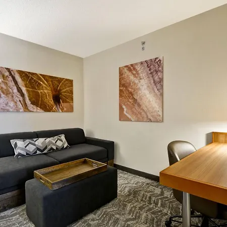 Springhill Suites By Marriott Lexington Near The University Of Kentucky-3