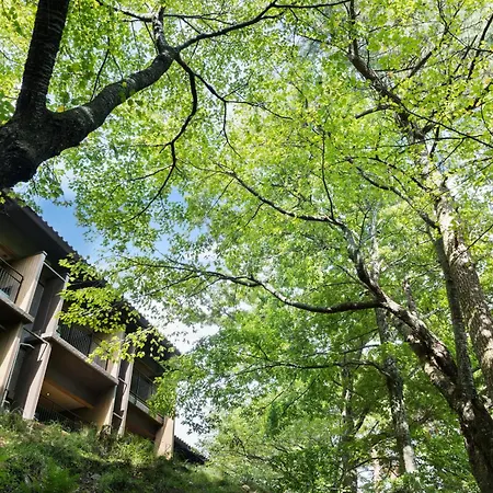 Laforet Shuzenji Sanshisuimei-2