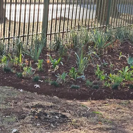 Protea Guesthouse-2