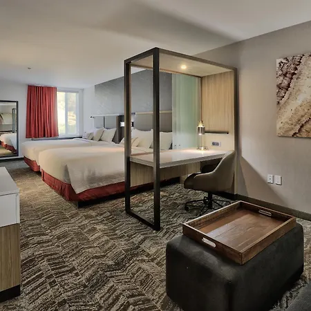 Springhill Suites Durango-2