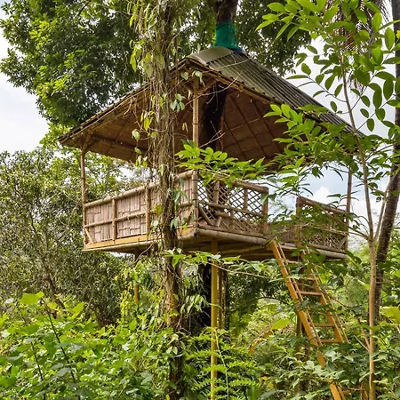 Serene Valley Resort Wayanad-3