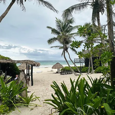 Luv Tulum-3