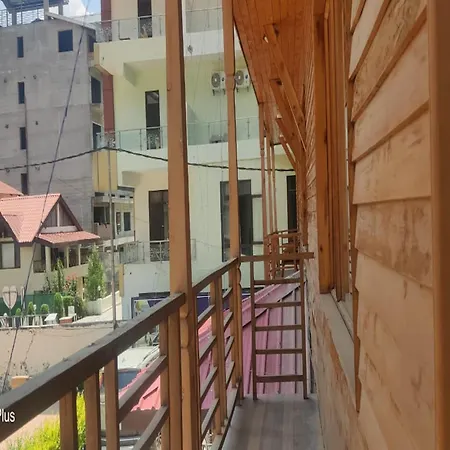 Hotel Manali Queen-3