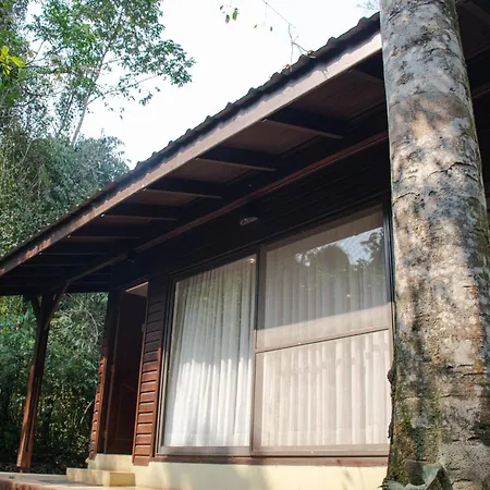 Yvy Hotel De Selva-3