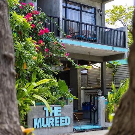 The Mureed-3