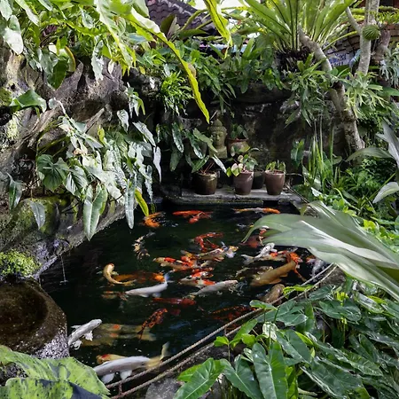 Cloudspace Ubud-2