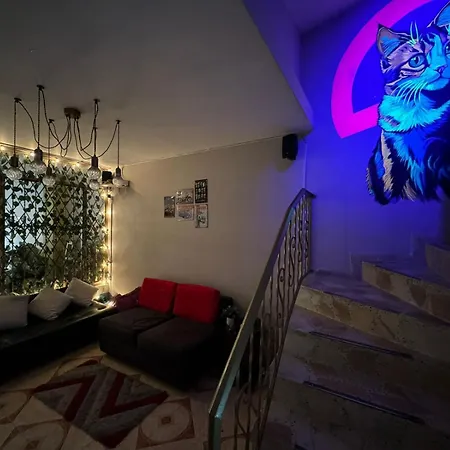 Gato Neon Hostel-2