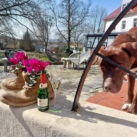 Hotel Kapelle Bed & Breakfast-3
