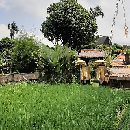 Ubud Hidden Villa Yone Village-3