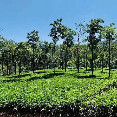 Cassells Jungle Resorts Thekkady-2