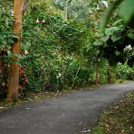 Magnolia Estates & Resorts-3