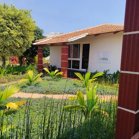 Tranquil Revtree Resort-2