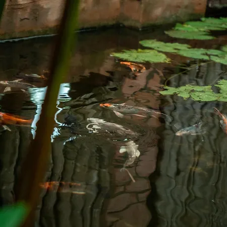 Jungle Sanctuary Hotel Siem Reap-3