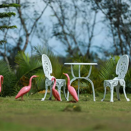 Serene Crest Resort-3