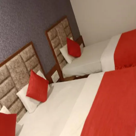 Hotel Lux Inn Ahmedabad-3