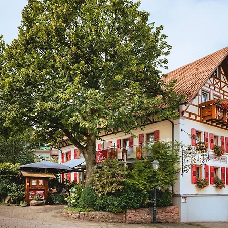 Landgasthaus zur Linde-3