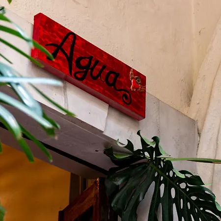 Te Amo Hotel Boutique-3