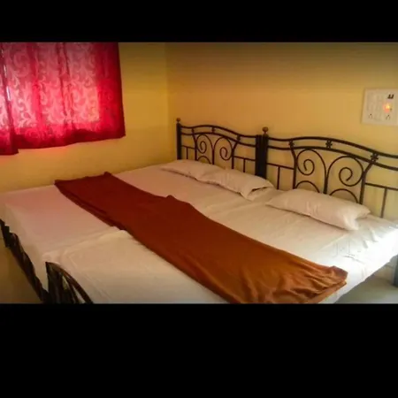 Savli Huts Farm Resort-3