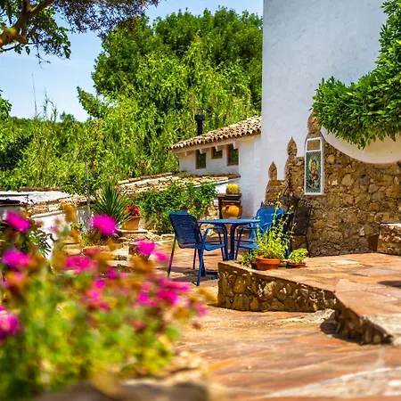 Cinco Lunas VEGETARIAN Guesthouse-2