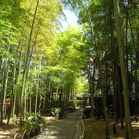Izu Marriott Hotel Shuzenji-2