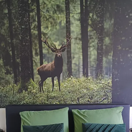 B&B Speulderveld-3