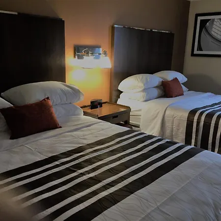 Waterloo Suites Hotel, Trademark Collection By Wyndham-3