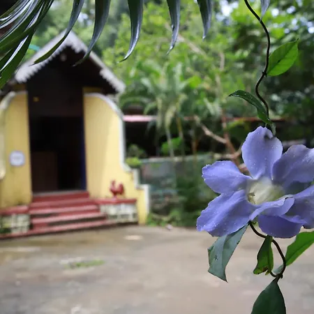 Phoenix Castle House Palolem-2