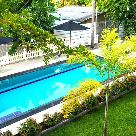 Wetland Resort-2