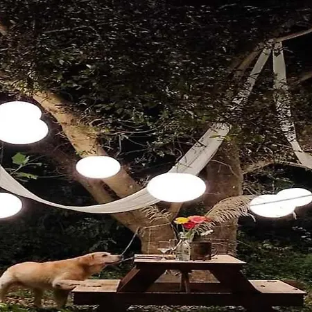 Glampx Everest-2